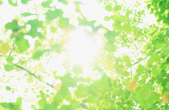 下野市で腰痛、ぎっくりの痛みを和らげ改善。ホシノ整術院